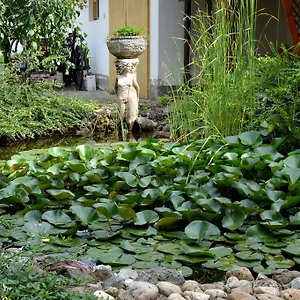 https://violetta-vendeghaz-eger.egerhotels.net